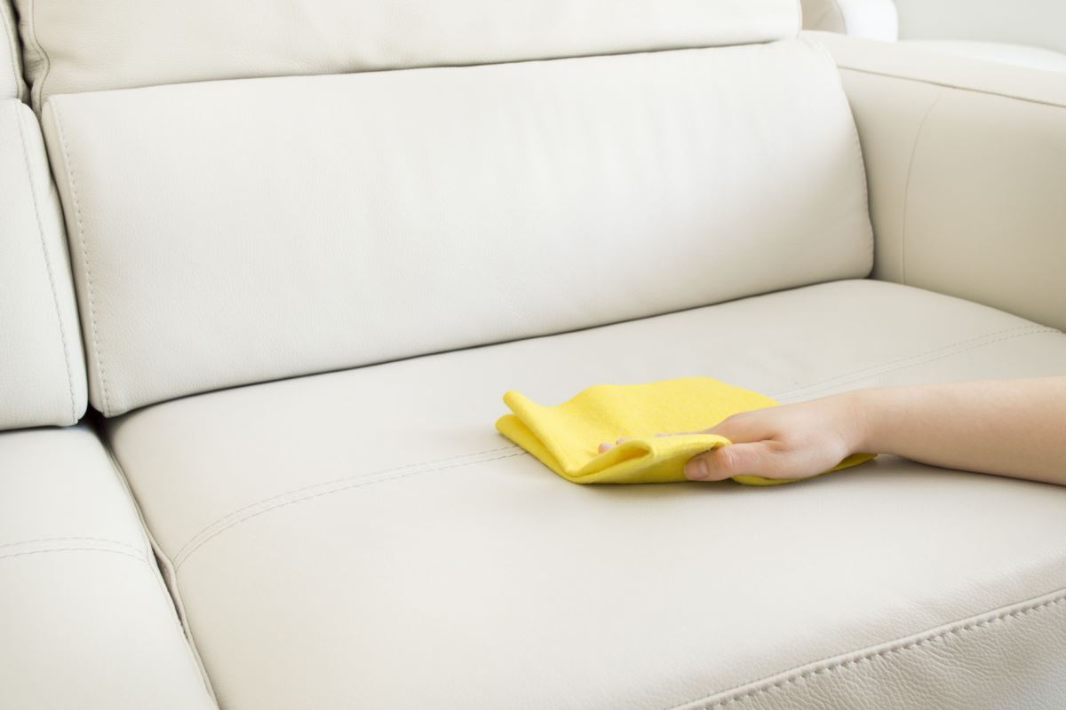 Устранить запах мочи с дивана в домашних условиях человека
